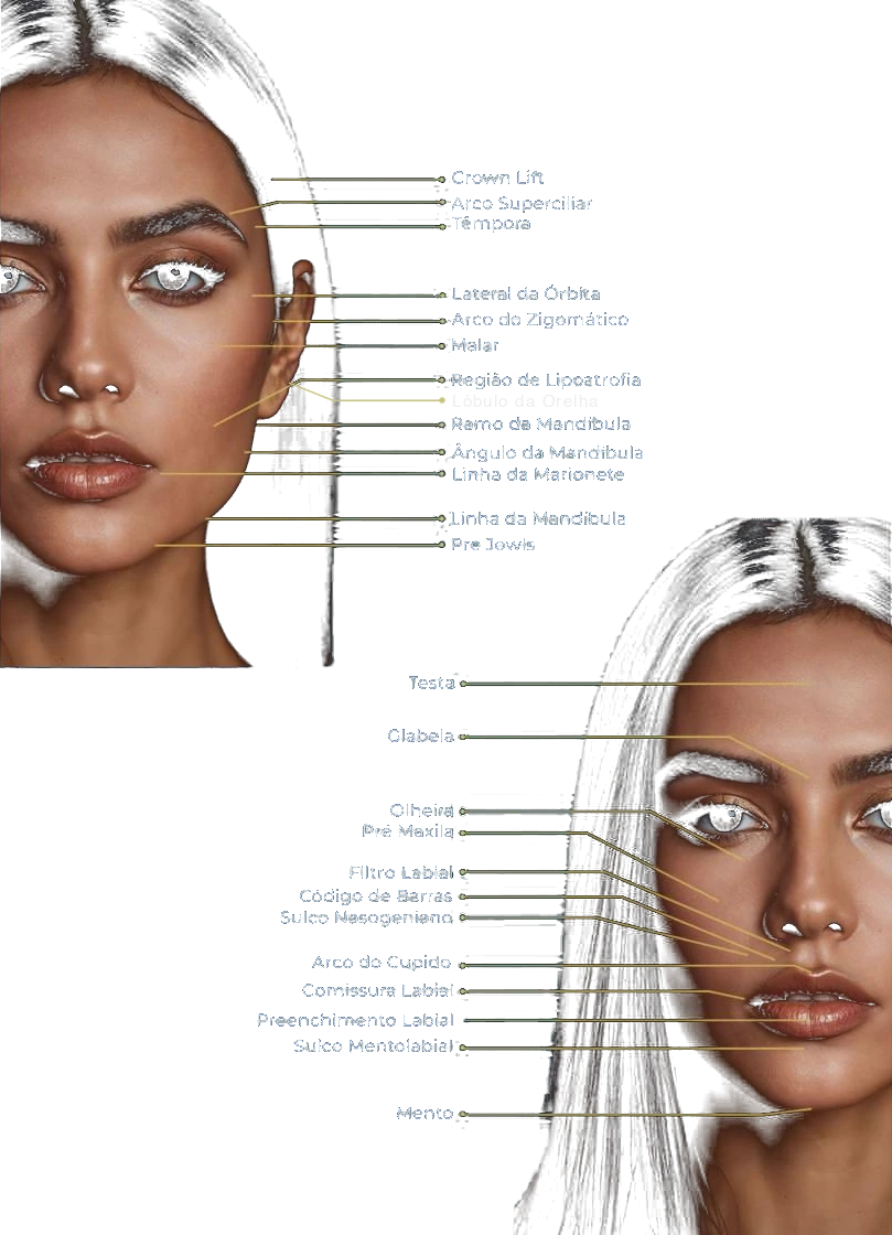 Mapa das regiões da face abordadas na Técnica Full Face